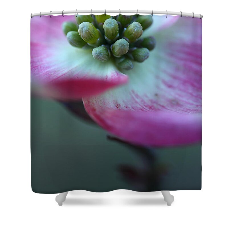 Dogwood Shower Curtain featuring the photograph Feeling Good by Michael Eingle