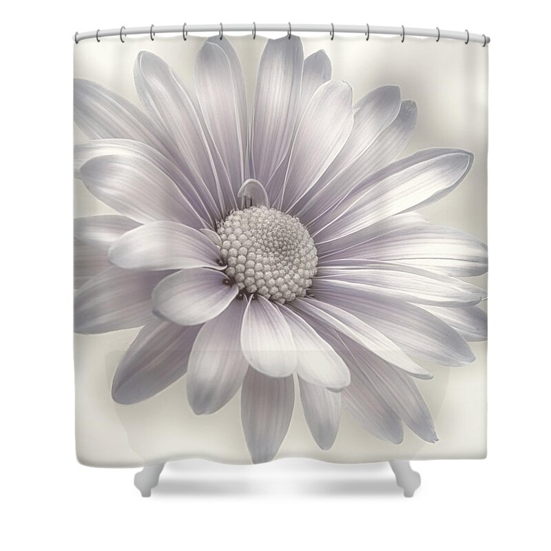 Floral Shower Curtain featuring the photograph Felicity by Darlene Kwiatkowski