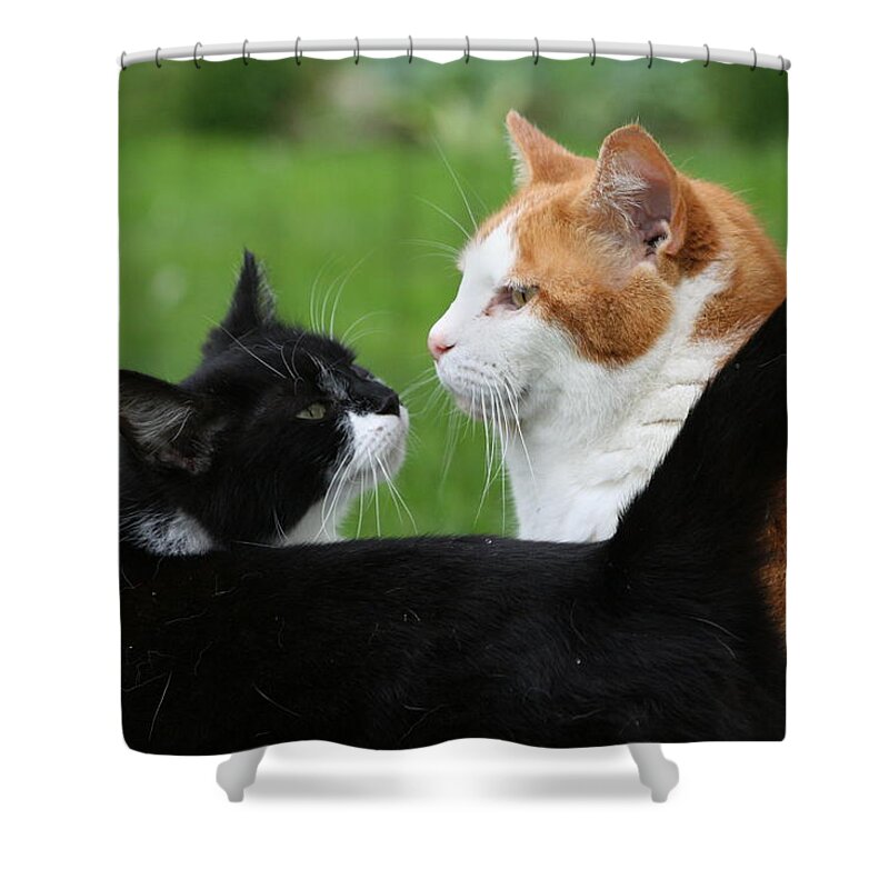 Feline Shower Curtain featuring the photograph Feline Friends by Valerie Collins