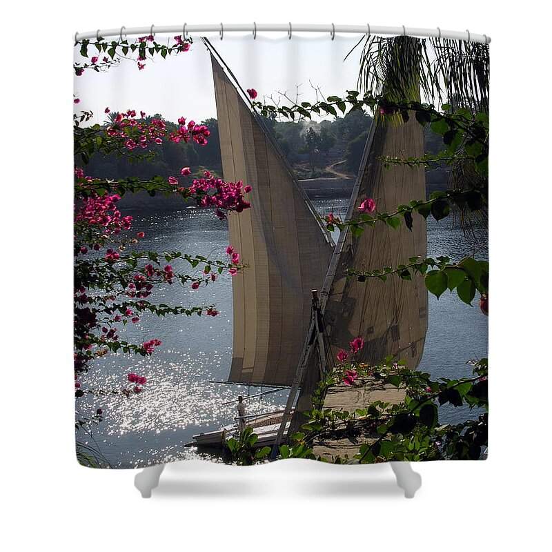 Egypt Shower Curtain featuring the photograph Feluccas on the Nile - Egypt by Jacqueline M Lewis