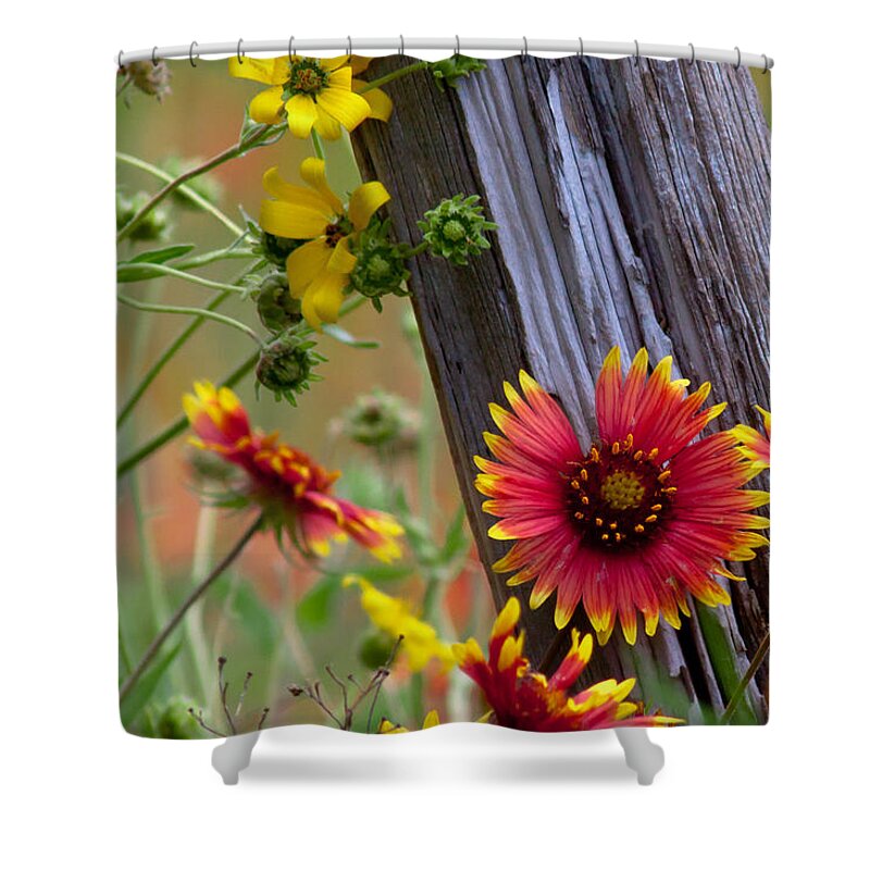 Plants Shower Curtain featuring the photograph Fenceline Wildflowers by Robert Frederick