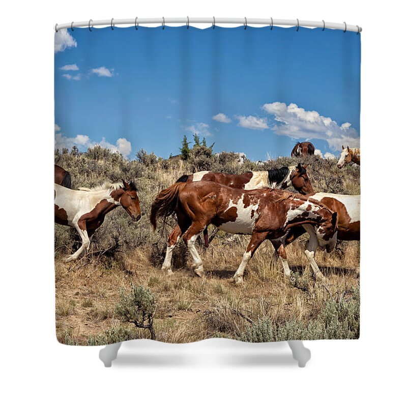 Feral Horses Shower Curtain featuring the photograph Feral and Free by Kathleen Bishop
