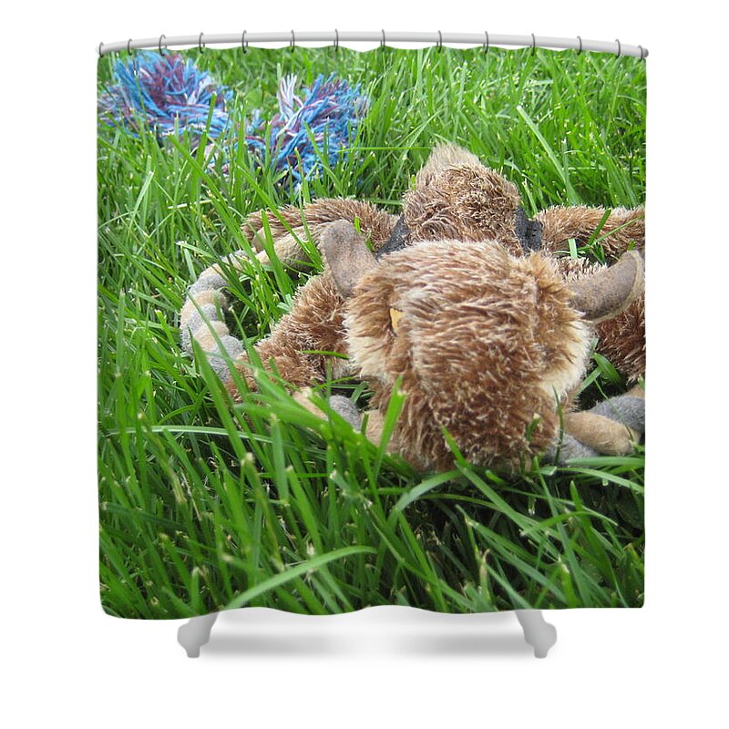 Dog Shower Curtain featuring the photograph Fetch by Melissa McCrann
