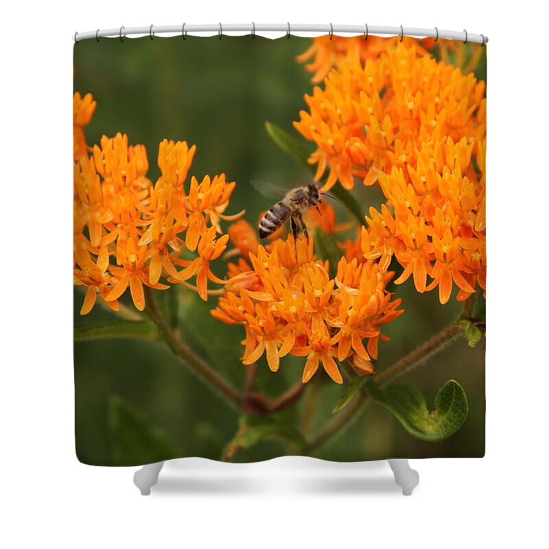 Bee Shower Curtain featuring the photograph Ff-16 by David Yocum