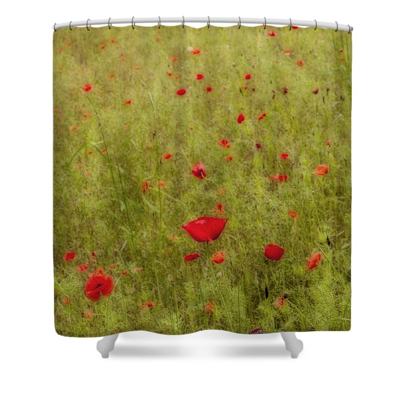Flower Shower Curtain featuring the photograph Field of Dreams by Jean-Pierre Ducondi