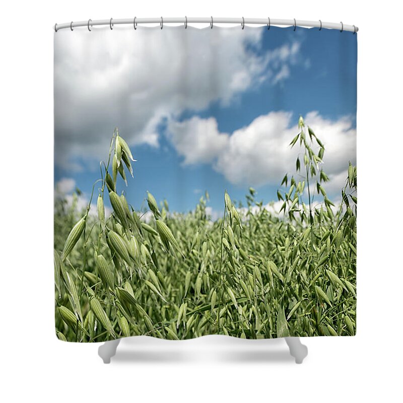 Scenics Shower Curtain featuring the photograph Field Of Oats Against Great Cloudscape by Kontrast-fotodesign