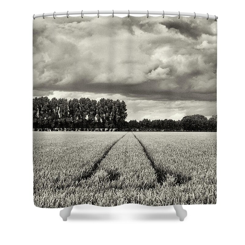 Thunderstorm Shower Curtain featuring the photograph Field Of Rye by Kontrast-fotodesign