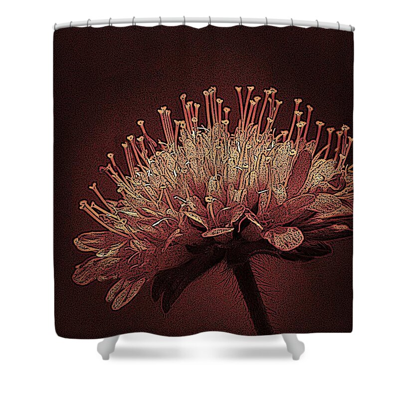 Scabious Shower Curtain featuring the photograph Field Scabious Photographic Art by David Dehner