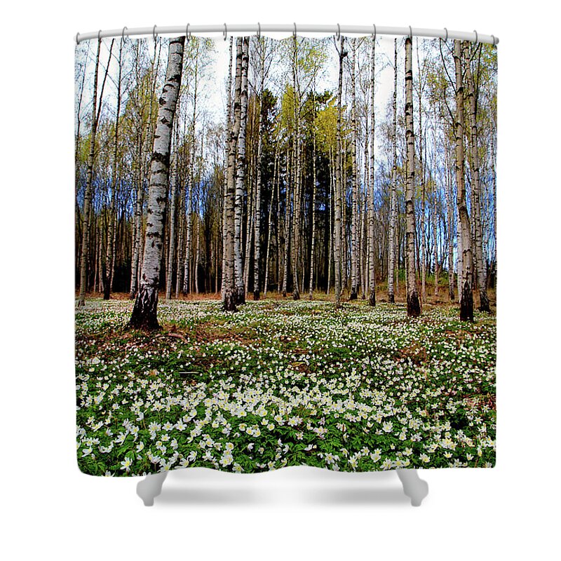 Tranquility Shower Curtain featuring the photograph Finally Spring Again by Baac3nes