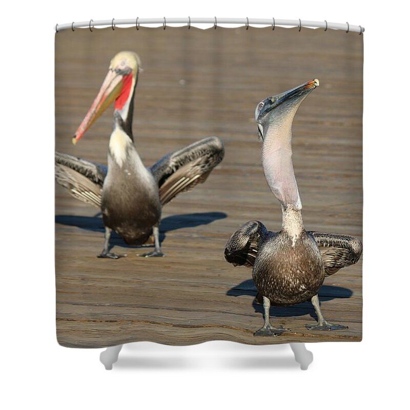 Wild Shower Curtain featuring the photograph Finders Keepers by Christy Pooschke