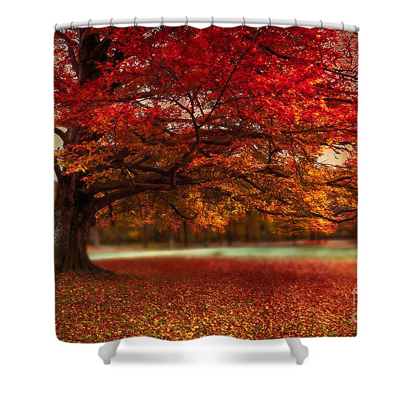 Autumn Shower Curtain featuring the photograph Finest Fall by Hannes Cmarits