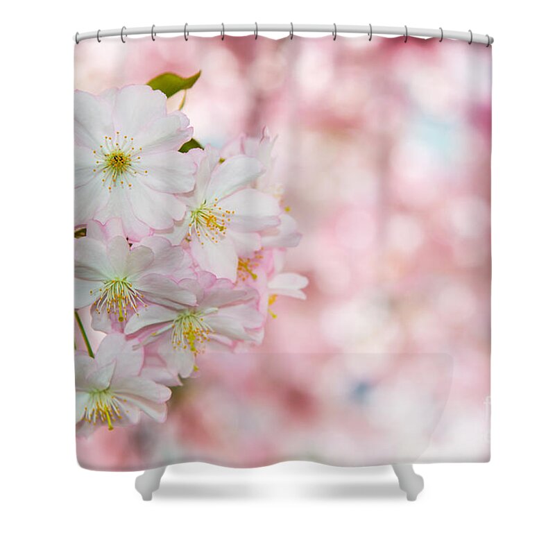 Blossom Shower Curtain featuring the photograph Finest Spring Time by Hannes Cmarits