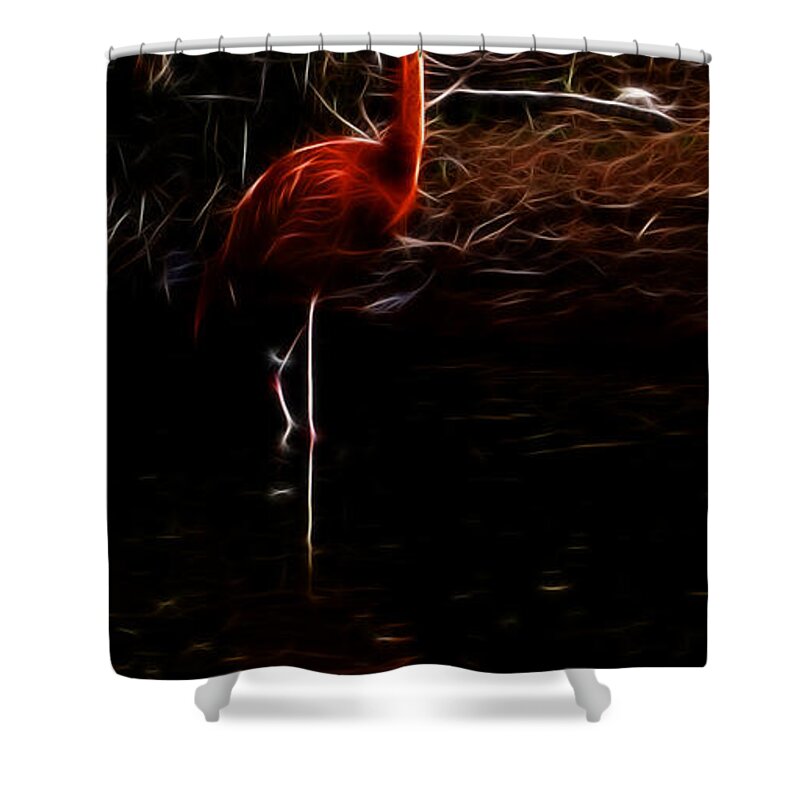 Fire Flamingo Shower Curtain featuring the photograph Fire Flamingo by Weston Westmoreland