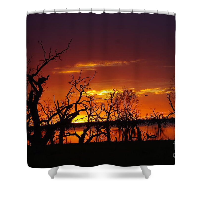 Into The Night Shower Curtain featuring the photograph Fire in the Sky by Blair Stuart