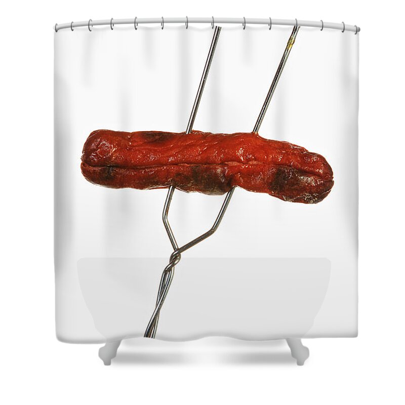Americana Shower Curtain featuring the photograph Fire Roasted Hot Dog by James BO Insogna