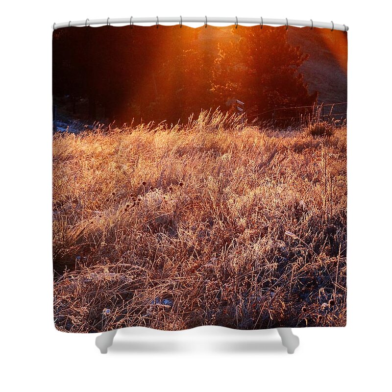 Landscape Shower Curtain featuring the photograph First Light by Fiskr Larsen