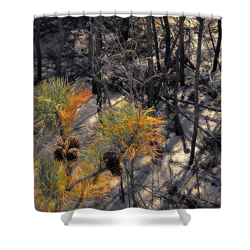 Landscape Shower Curtain featuring the photograph First Sign Of Spring At Cape Henlopen by Gerlinde Keating