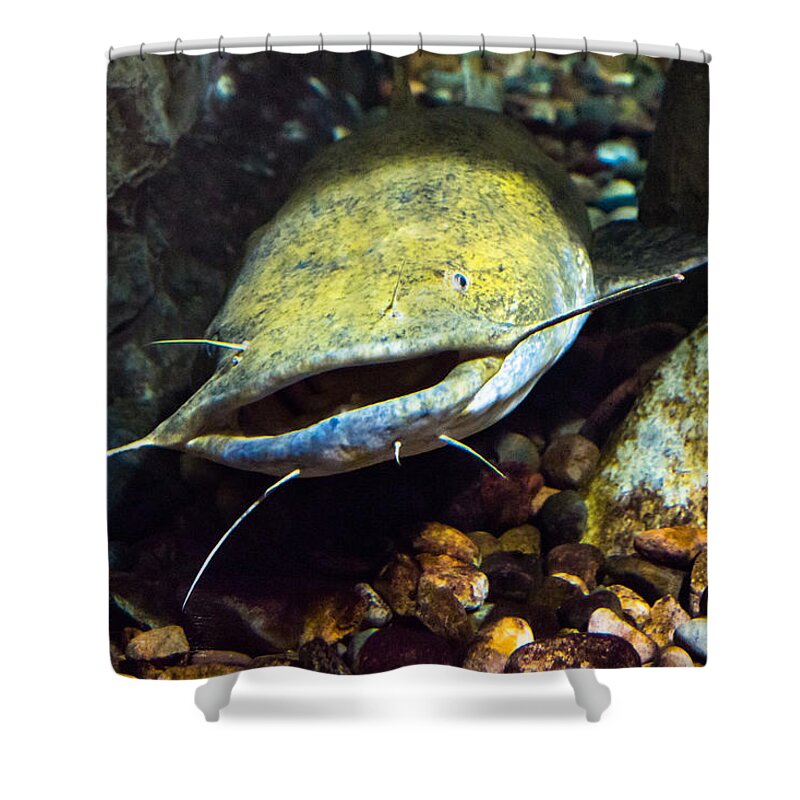 Bill Pevlor Shower Curtain featuring the photograph Fish Lips by Bill Pevlor