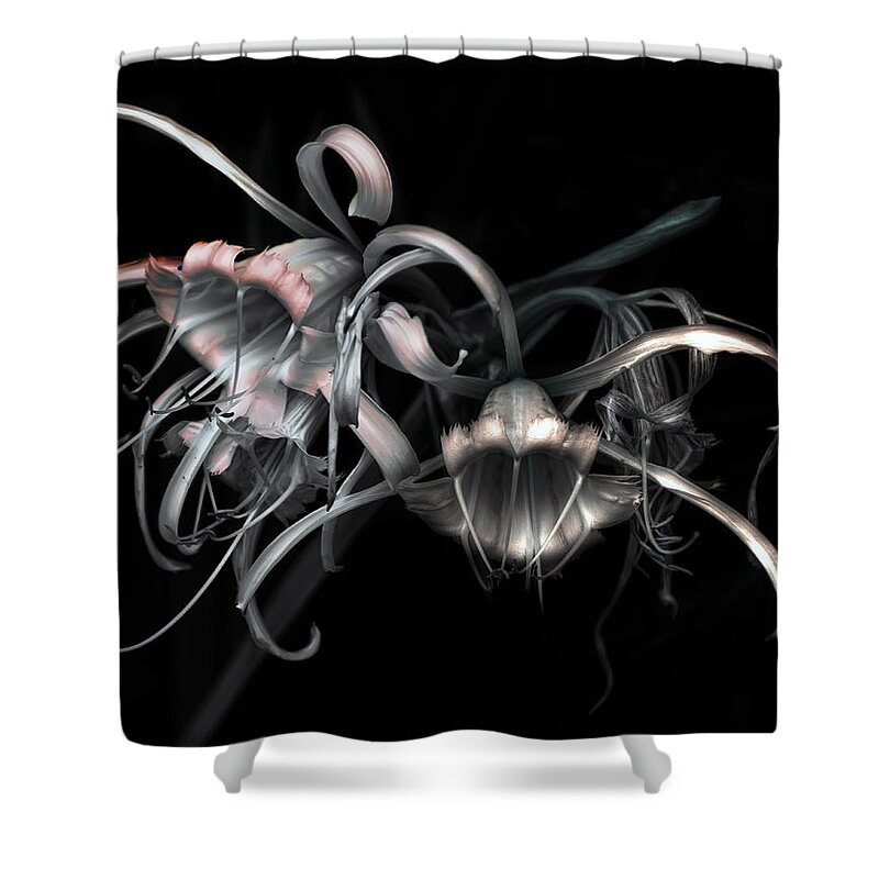 Flower Shower Curtain featuring the photograph Flamboyant by Wayne Sherriff