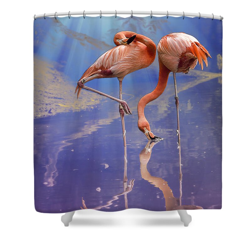 Bird Shower Curtain featuring the photograph Flamingo Fantasy Lights by Bill and Linda Tiepelman