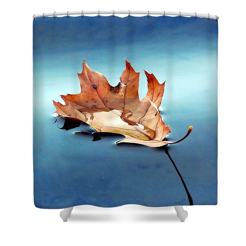 Leaf Shower Curtain featuring the photograph Floating Oak Leaf by David T Wilkinson