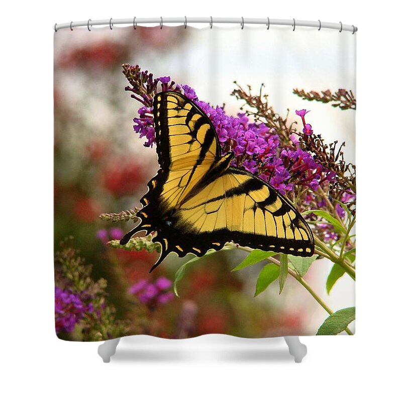 Fine Art Shower Curtain featuring the photograph Floating by Rodney Lee Williams