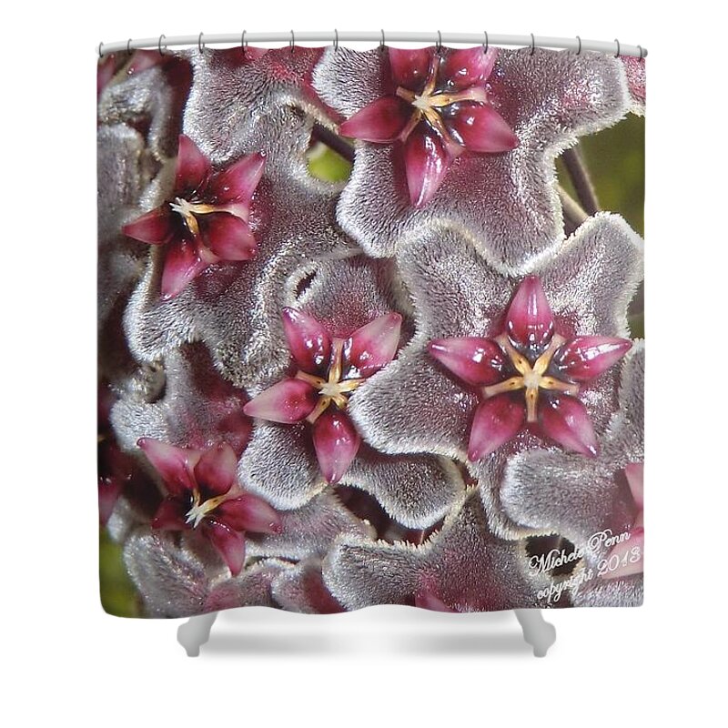 Flower Photograph Shower Curtain featuring the photograph Floral Presence - signed by Michele Penn