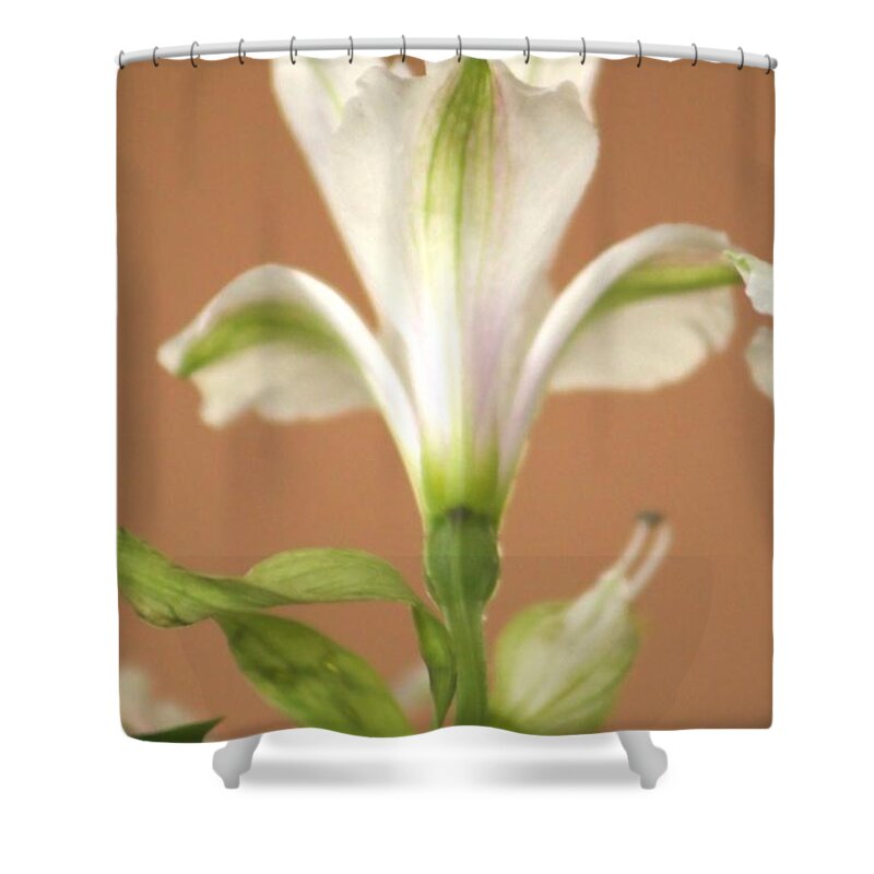 Flower Shower Curtain featuring the photograph Floral Tones by Deborah Crew-Johnson