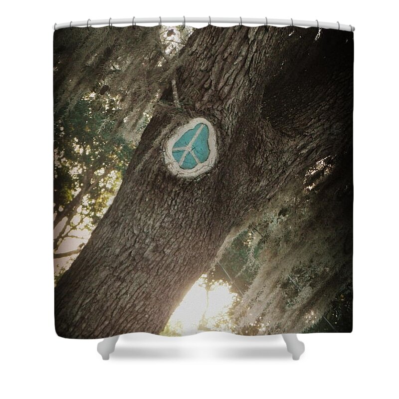 Peace Shower Curtain featuring the photograph Florida Peace by Valerie Reeves