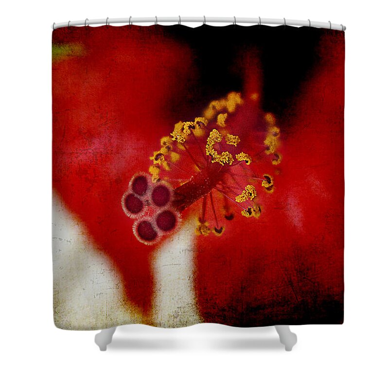 Flower Shower Curtain featuring the photograph Flower Abstract by Milena Ilieva
