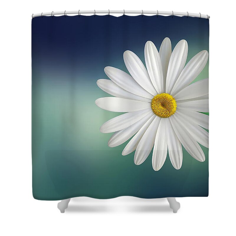 Flower Paradise Shower Curtain featuring the photograph Flower by Bess Hamiti