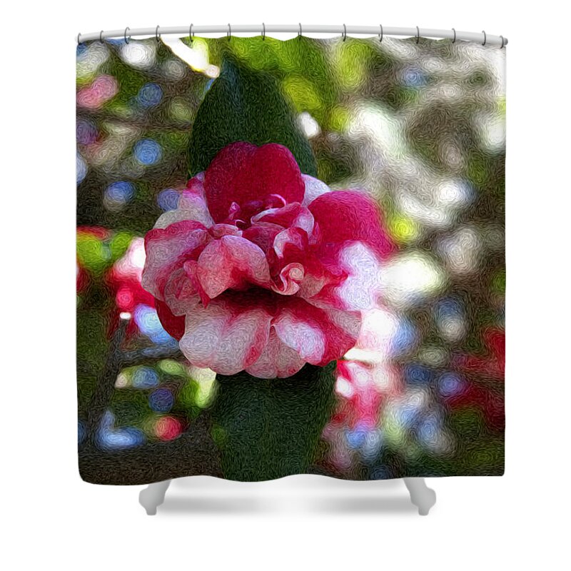 Flower Shower Curtain featuring the photograph Flower by Bill Howard