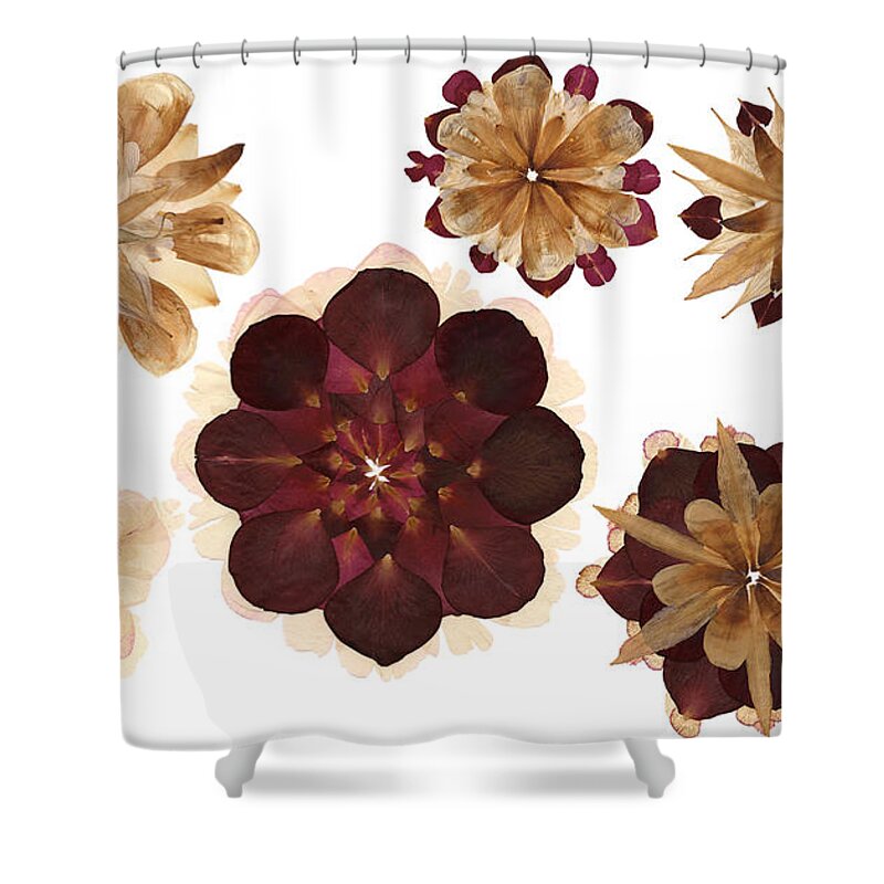 Flower Shower Curtain featuring the photograph Flower Petal Composition 1 by Michelle Bien