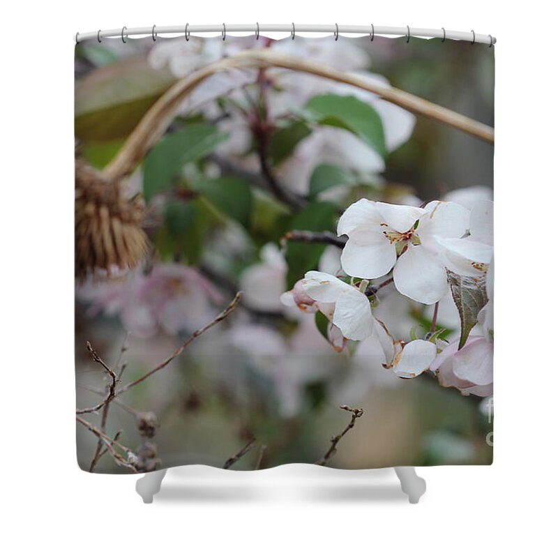 Landscape Shower Curtain featuring the photograph Flower Composition by Donna L Munro
