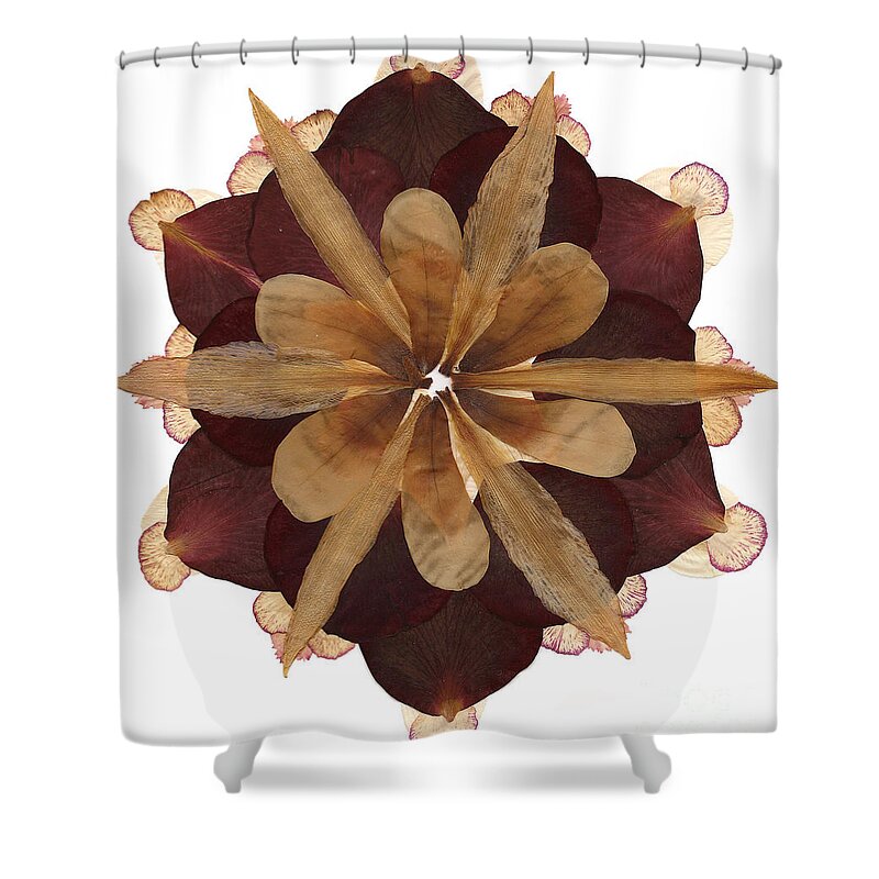 Flower Shower Curtain featuring the mixed media Flower Mandala 3 by Michelle Bien