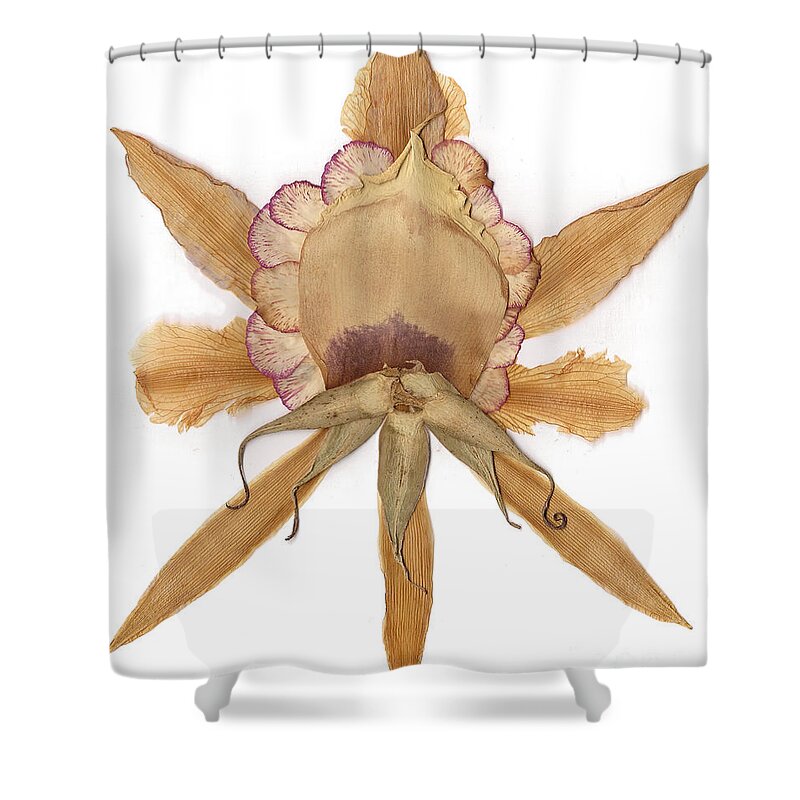 Flower Shower Curtain featuring the mixed media Flower Mandala 6 by Michelle Bien