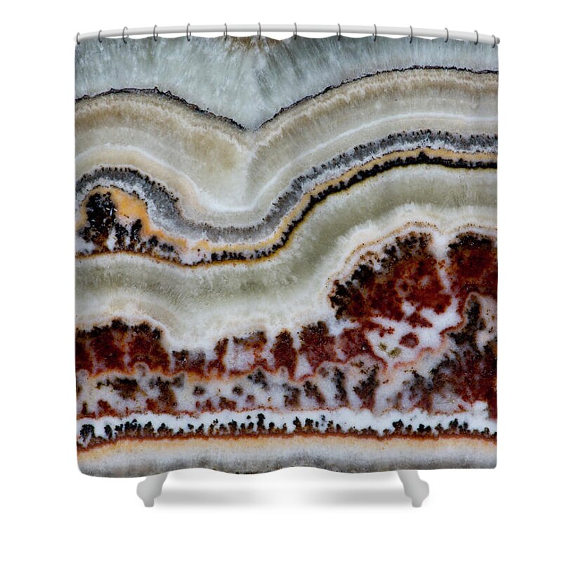 Mineral Shower Curtain featuring the photograph Flower Onyx, Close-up Of Pattern by Darrell Gulin
