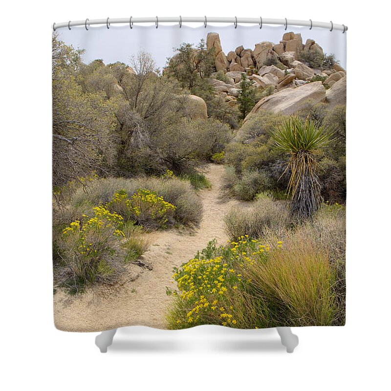 Ca Shower Curtain featuring the photograph Flowers Along the Path by Lucinda Walter
