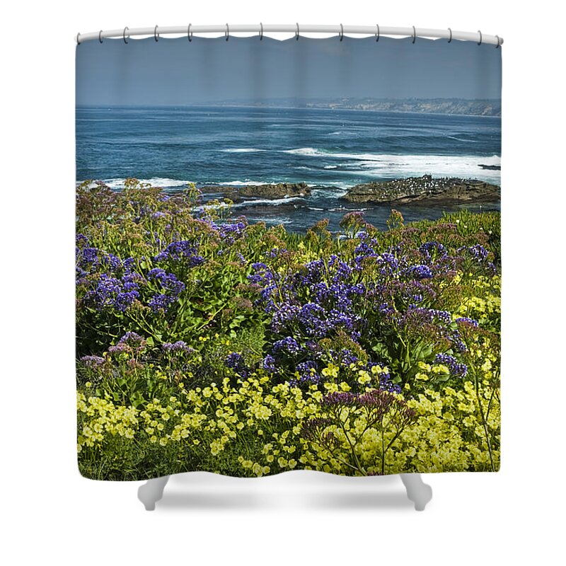 Ocean Shower Curtain featuring the photograph Flowers along the shore at La Jolla California No.0202 by Randall Nyhof