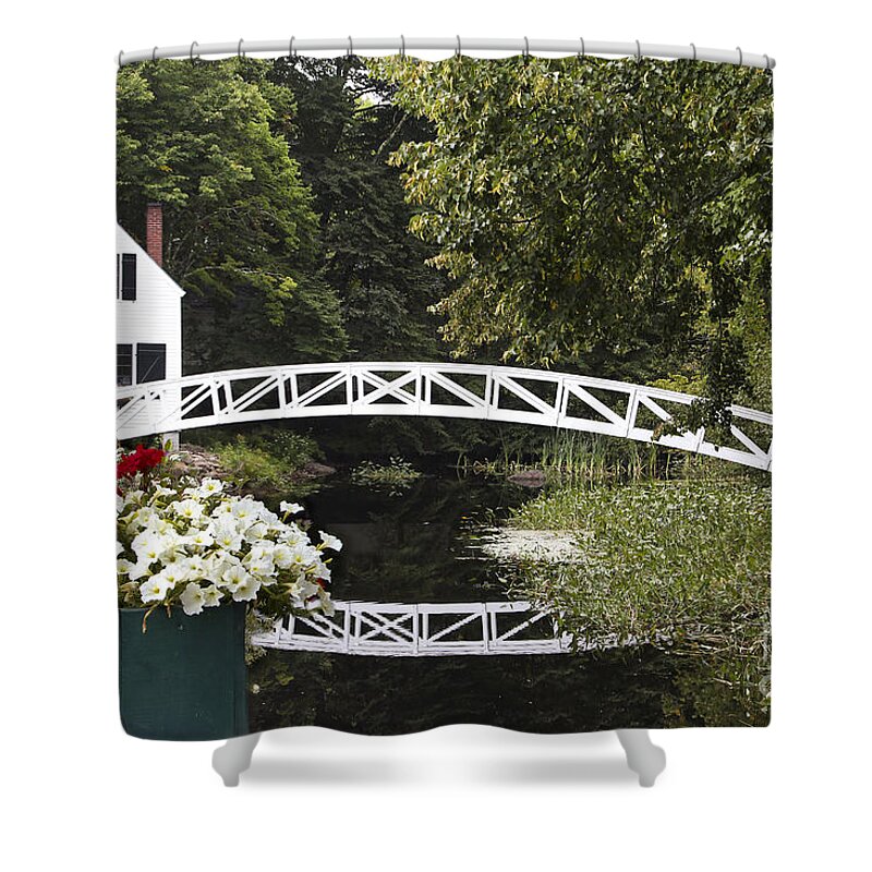 Maine Shower Curtain featuring the photograph Flowers and Reflections by Karin Pinkham