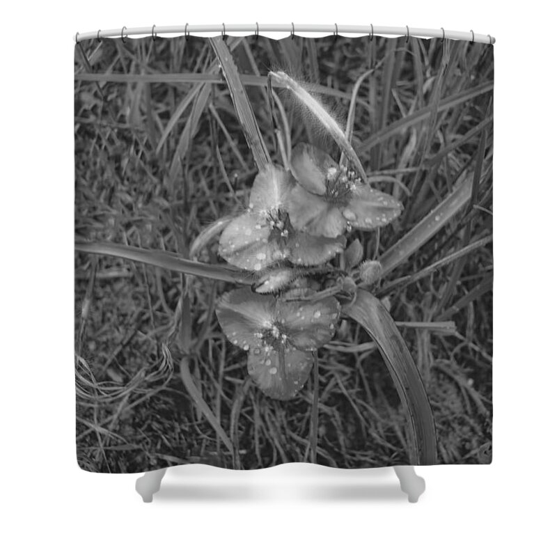 Flowers Shower Curtain featuring the photograph Flowers in Spring Black and White by Cathy Anderson