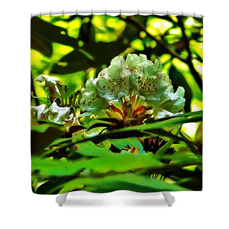 Flower Shower Curtain featuring the photograph Flowers In The Woods by Chuck Hicks