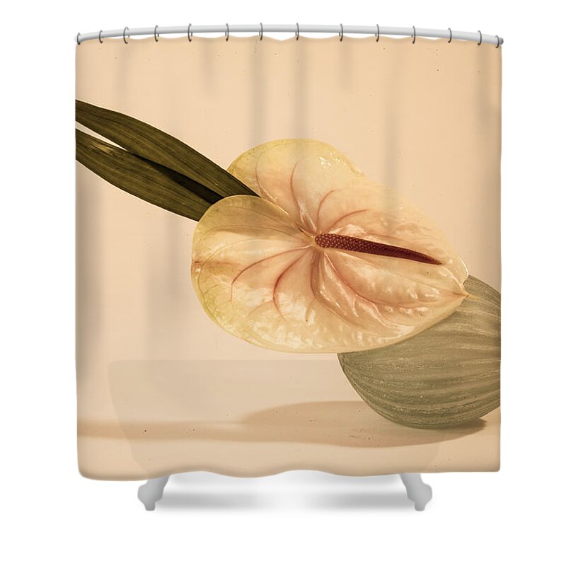 Flowers Shower Curtain featuring the photograph Flowers in Vases 6 by Matthew Pace