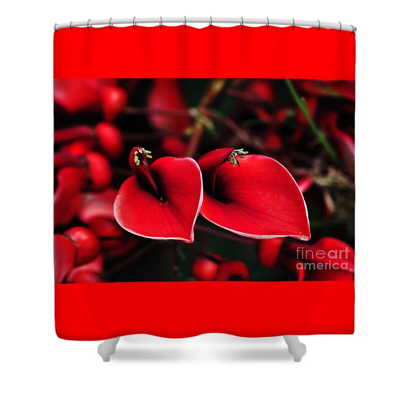 Photography Shower Curtain featuring the photograph Flowers of Fire by Kaye Menner