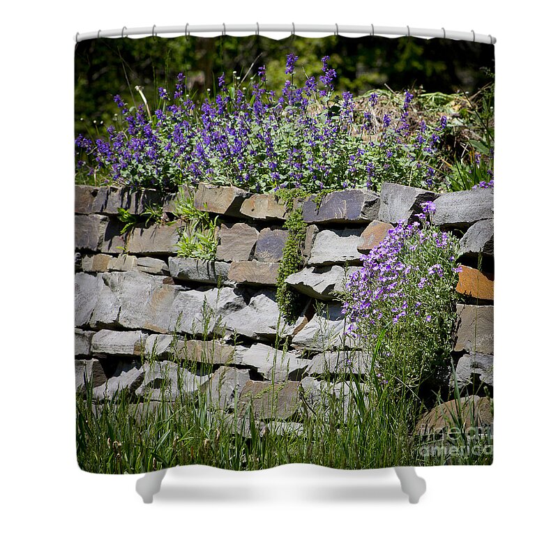 Rock Shower Curtain featuring the photograph Flowers on Rock Wall by Brad Marzolf Photography