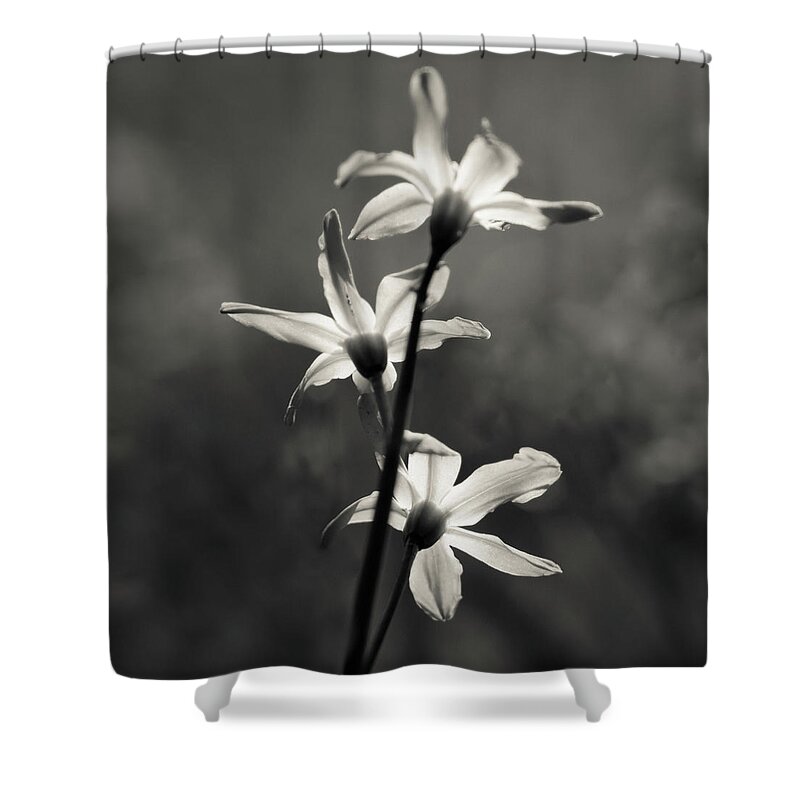 Copenhagen Shower Curtain featuring the photograph Flowers by Yann Houlberg Andersen Photography