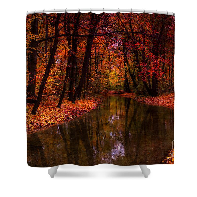 Autumn Shower Curtain featuring the photograph Flowing Through The Colors Of Fall by Hannes Cmarits
