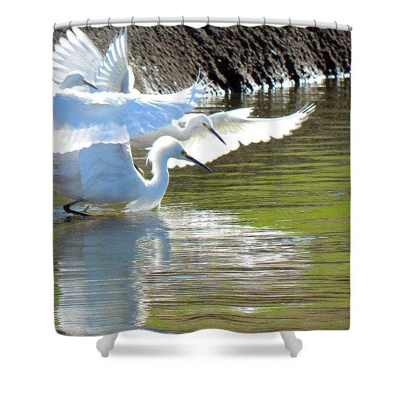 Egret Shower Curtain featuring the photograph Flurry by Deb Halloran