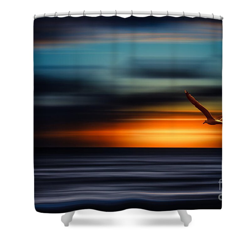 Sylt Shower Curtain featuring the photograph Flying Into The Sunset by Hannes Cmarits
