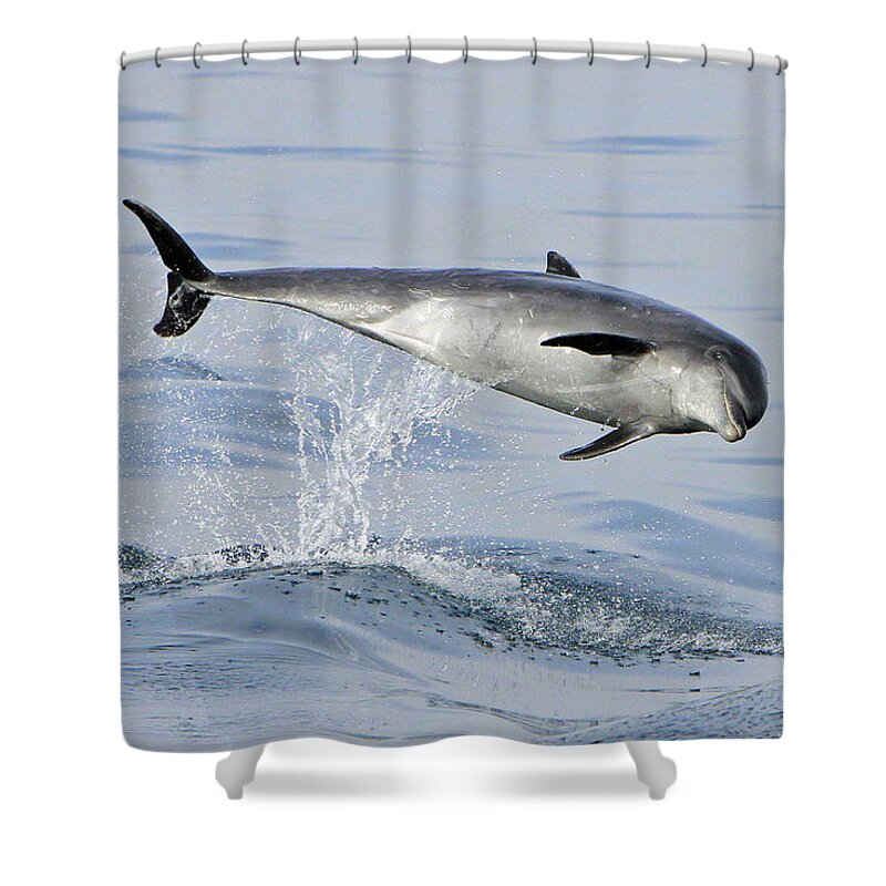 Bottlenose Dolphin Shower Curtain featuring the photograph Flying Sideways by Shoal Hollingsworth